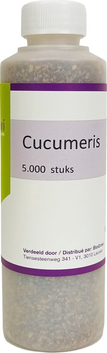 Biogrowi Cucumeris 5000 roofmijten tegen trips. Voor grote opppervlaktes