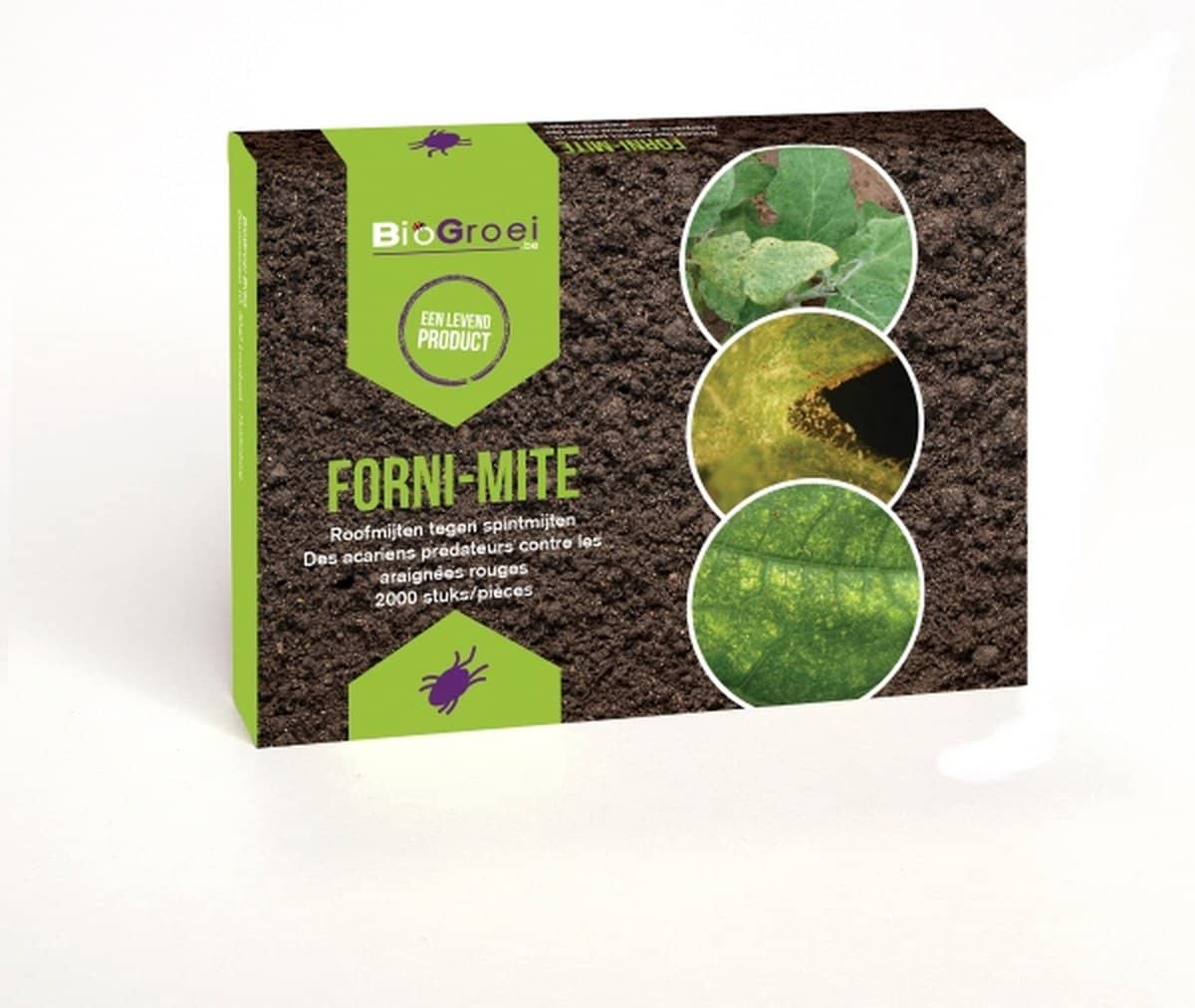 Biogrowi Forni-mite – Spint bestrijden – 500 Roofmijten tegen spint . Perfect voor kamerplanten en balkonplanten